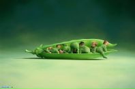 Alex Perec фотография #14 (источник - https://vk.com/id539403)