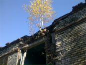 Денис Янко фотография #4 (источник - https://vk.com/id1033924)