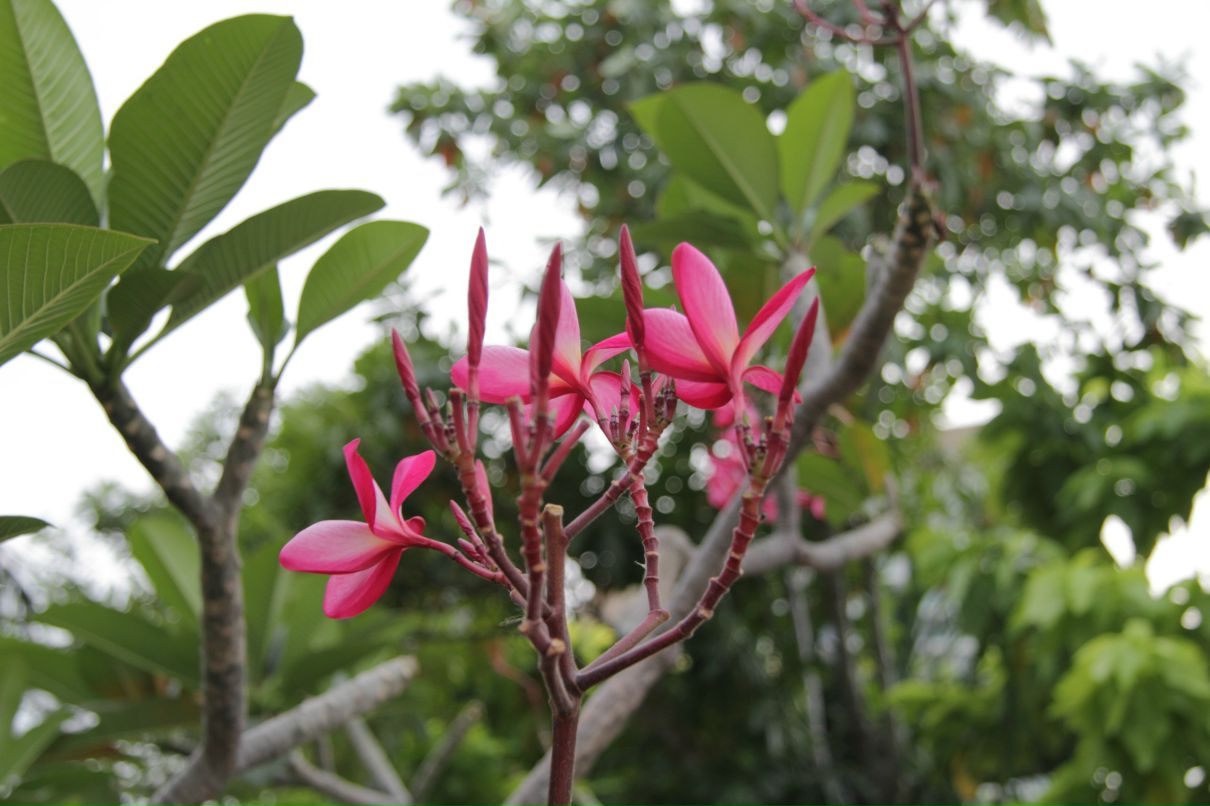 Дмитрий Симонов фотография #12