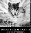Сергій Домчук фотография #10 (источник - https://vk.com/id18264861)