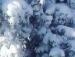 Іра Мундур фотография #10 (источник - https://vk.com/id152355006)