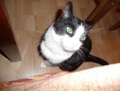 Фотография Морозовой Дарьи