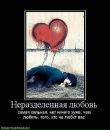 Іван Петросян фотография #25 (источник - https://vk.com/id40226203)