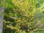 Віталій Панасюк фотография #8 (источник - https://vk.com/id67183575)