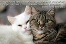 Дарія Латій фотография #11 (источник - https://vk.com/id141240174)