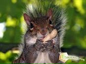 Фотография Фандеевой Дарии