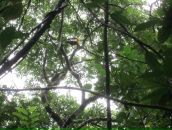 Дмитрий Гомон фотография #9 (источник - https://vk.com/id833603)