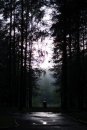 Фотография Момот Валерии