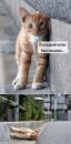 Вітя Гресь фотография #44 (источник - https://vk.com/id18756815)