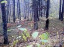 Дмитрий Петрук фотография #10 (источник - https://vk.com/id18824926)