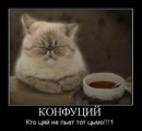 Алтынбек Есполов фотография #9 (источник - https://vk.com/id222476)