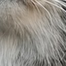 Виктор Арфеев фотография #39 (источник - https://vk.com/id38807040)