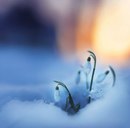 Вікуся Романюк фотография #8 (источник - https://vk.com/id167549660)