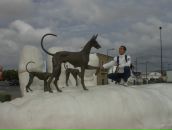 Тимур Набієв фотография #33 (источник - https://vk.com/id5858569)