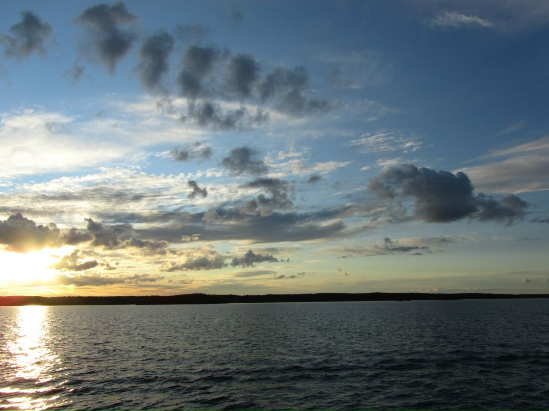 Max Seemann фотография #47