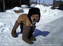 Коля Стрільченко фотография #32 (источник - https://vk.com/id160910495)
