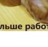 №8, Оландас Ридикас, Москва №8, Оландас Ридикас, Москва