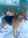 Віталік Костюк фотография #7 (источник - https://vk.com/id157820094)
