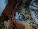 Оксана Ільків фотография #31 (источник - https://vk.com/id162755432)