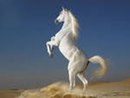 Эгорка Олійник фотография #1