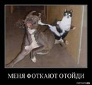 Аліна Бондаренко фотография #35 (источник - https://vk.com/id136560575)