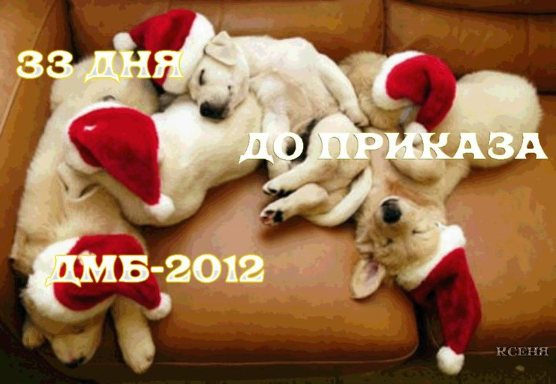Миша Беляев фотография #43