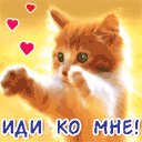 Альоша Білан фотография #19 (источник - https://vk.com/id138146565)