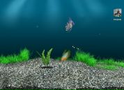 Марія Ватаманюк фотография #47 (источник - https://vk.com/id58320108)