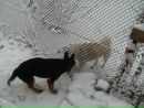 Настя П'єх фотография #50 (источник - https://vk.com/id144494844)