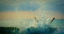 Фотография Лаки Евгения