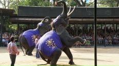 Анна Матвеенко фотография #11 (источник - https://vk.com/id982526)