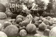 Фотография Качева Кости