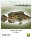 Сєрий Матвійшин фотография #22 (источник - https://vk.com/id111466338)