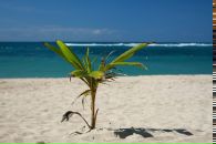 Динара Гафурова фотография #15 (источник - https://vk.com/id2706012)