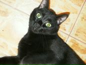 Фотография Волковой Ирины