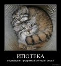 Віталій Кондратьєв фотография #7 (источник - https://vk.com/id27483446)