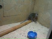 Мішаня Василюк фотография #41 (источник - https://vk.com/id16829036)