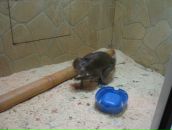 Мішаня Василюк фотография #40 (источник - https://vk.com/id16829036)