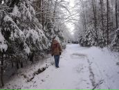 Фотография Мерхелевой Татьяны