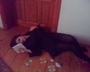 Олена Хемій фотография #8 (источник - https://vk.com/id138096297)
