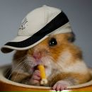 Фотография Павлычевой Елены