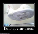 Ігор Зубенко фотография #37 (источник - https://vk.com/id1185620)