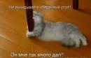 SERDEI @®€©™ фотография #8 (источник - https://vk.com/id55028145)