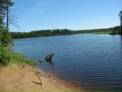 Андрей Окишев фотография #30 (источник - https://vk.com/id1010946)