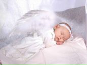 Фотография Лазарев Александр