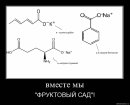 Антон Random фотография #27 (источник - https://vk.com/id3982068)