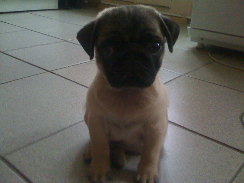 Стасян Рачков фотография #6