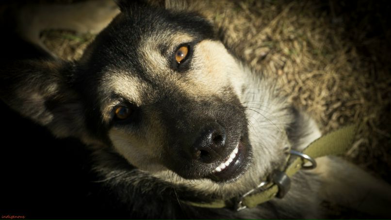 Руслан Магда фотография #45