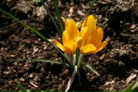 Фотография Оринич Оксаны