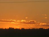 Фотография Бузыкаевой Ларисы